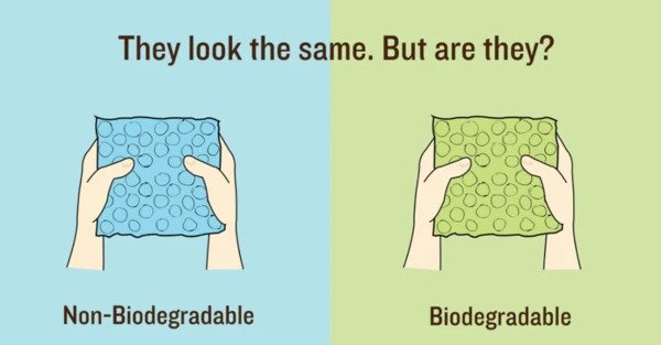 Biodegradable and non biodegradable ecommercepackaging