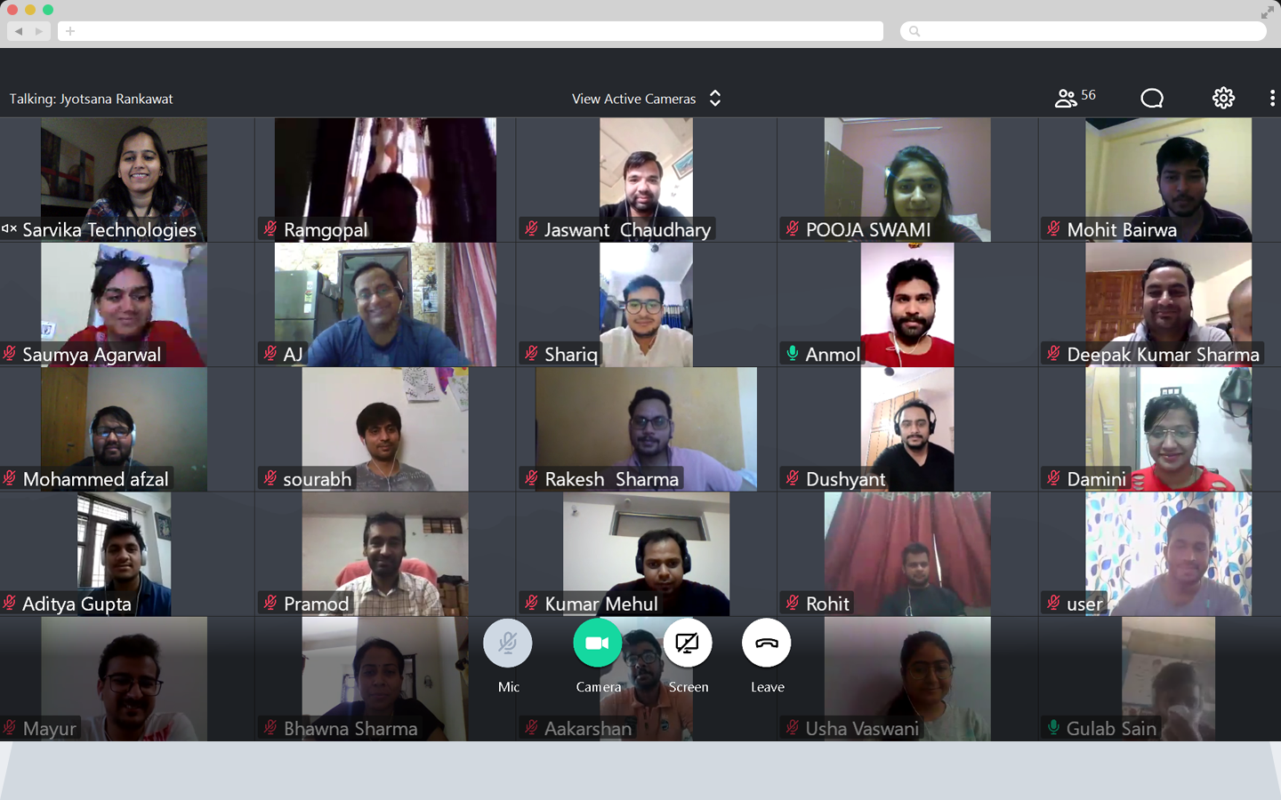 Team Meeting Screenshot1
