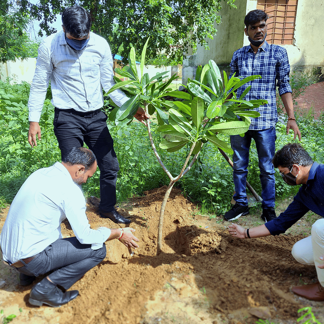 Protecting Nature & Sustainability